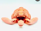 Cute Articulated Turtles #1 - Three Models - Swappable Shell-2
