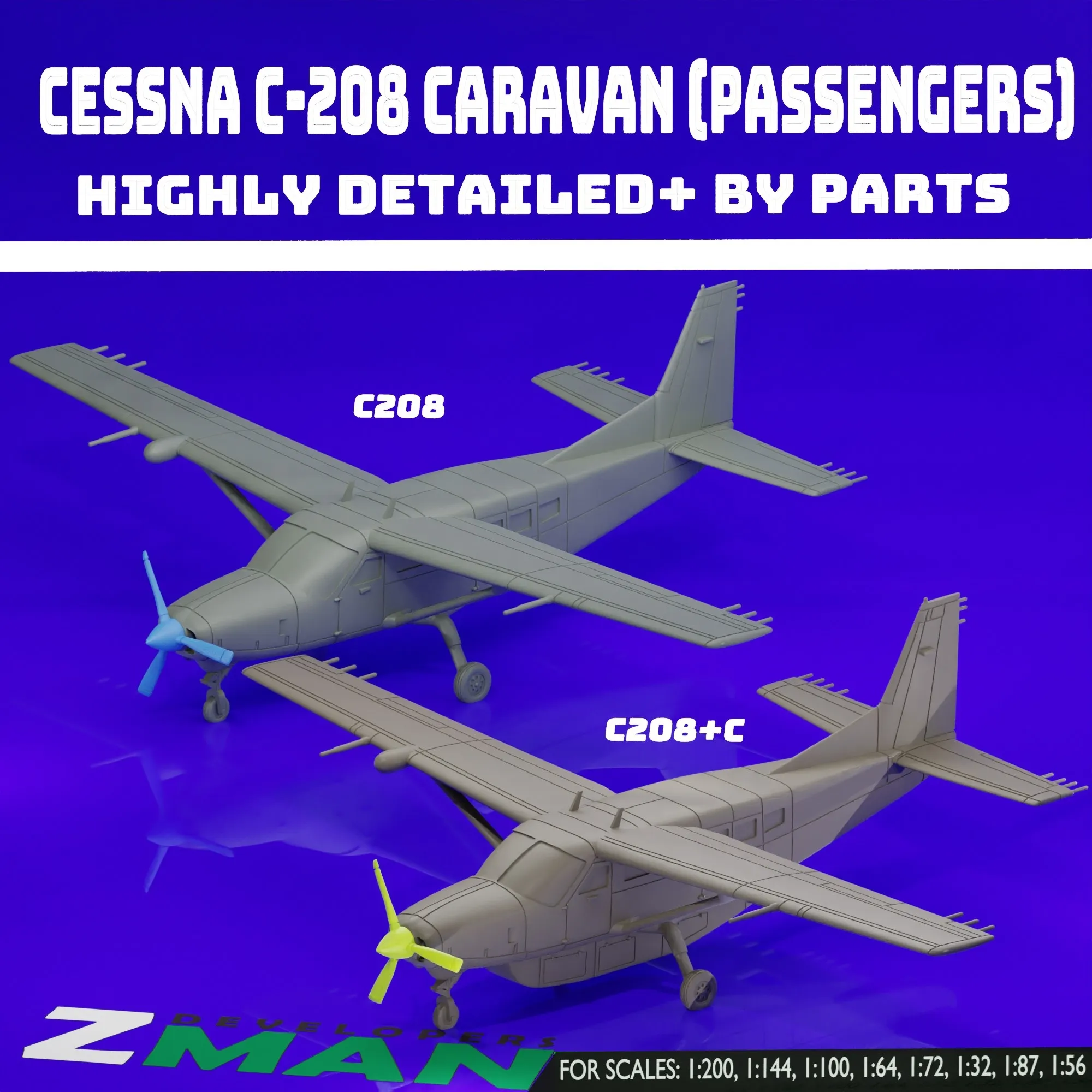 CESSNA 208 CARAVAN (ПАССАЖИРЫ) (2 В 1) V3