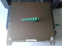 Arti-Brachi-4