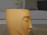 Serenity Face Planter 3D Print Model-6