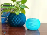 Flower Pot-0