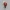 Marvel Comics Mini Lady Deadpool (Wanda Wilson)