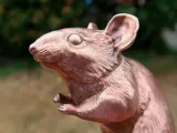 Wood Mouse-5