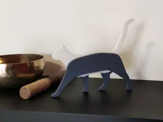 Cat - Gatto