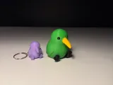Adorabile Kiwi-2