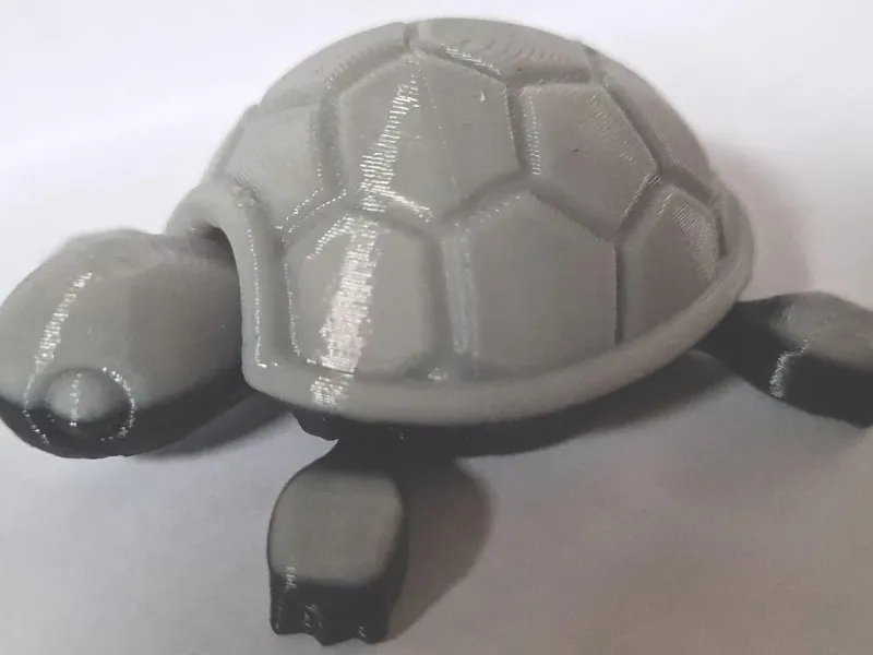 bewegliche Schildkröte