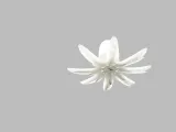 ILA Mood Light-4