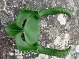 DRAGONA Mask-1