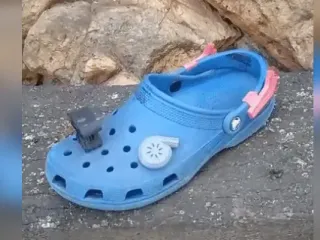 TurboCroc, the fastest croc in the west