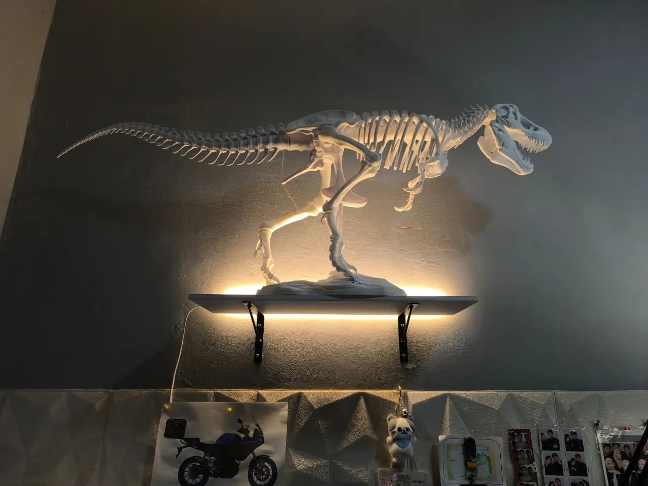 Tyrannosaurus skeleton-0
