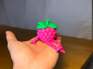 Articulated Raspberry Buddy