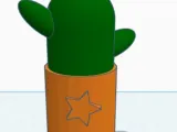 CACTUS_CALSADO-0
