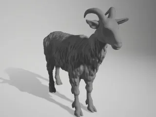 goat 04