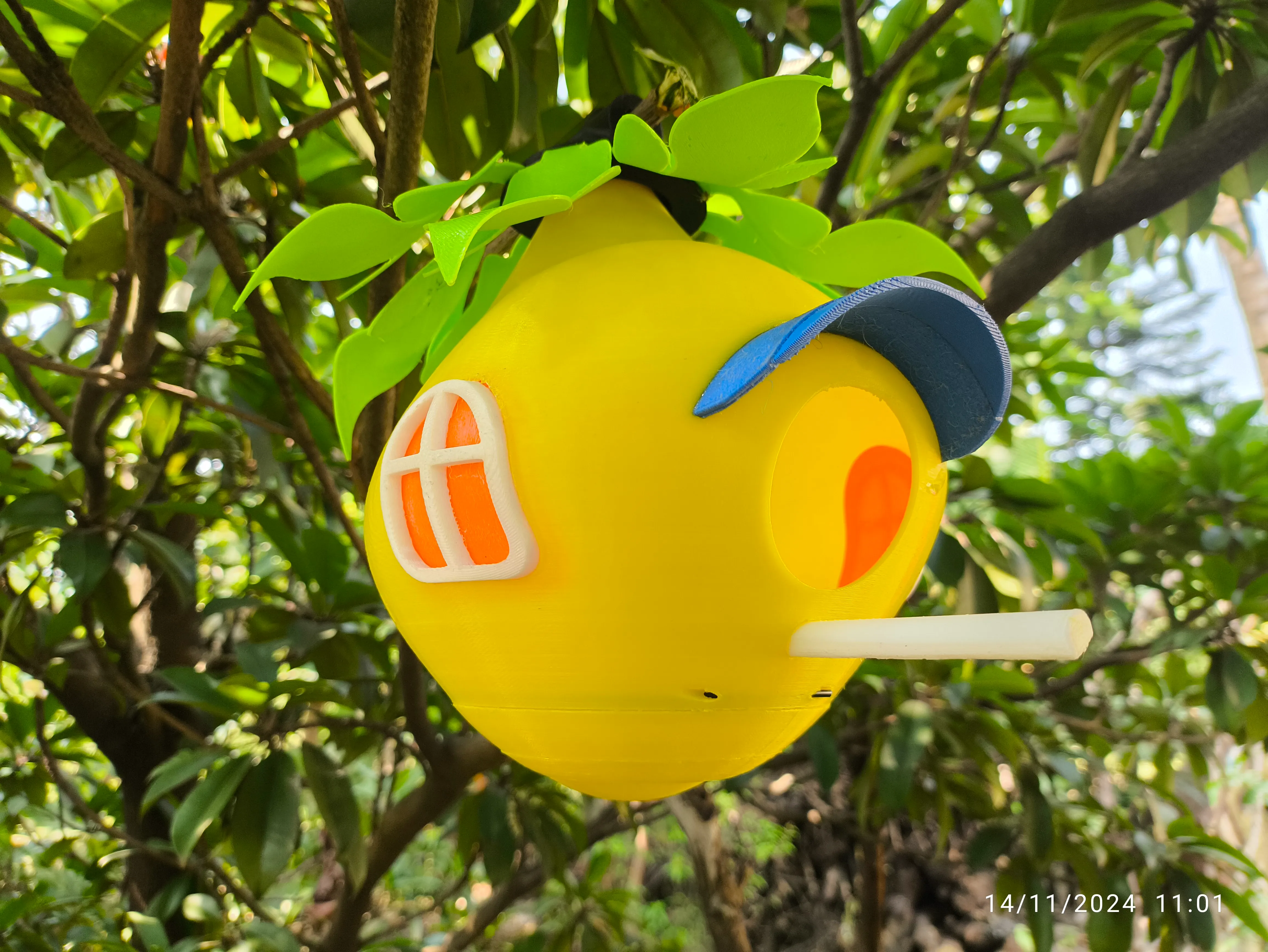"Bird House-In Nature"