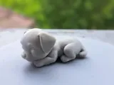 Cute Baby Dog-4
