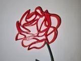 Rose-0