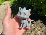 Beautiful cute kitty-3