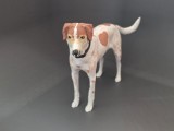 Pointer/American Foxhound-1