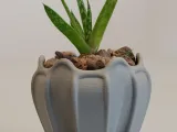 Pot Interior Decor V-0