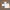 Crypto QRCode for BIP39 12-word