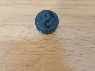 Yin and Yang croc charm