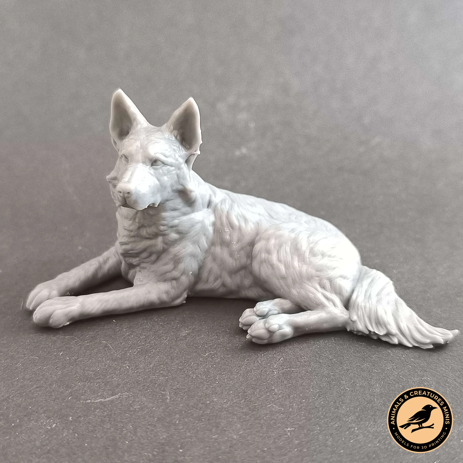 German shepherd