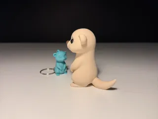 Cute Meerkat