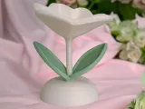 The Eternal Spring Flower – A Bloom That Never Fades-1