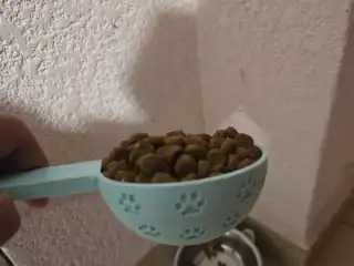 Pet Food Measuring Scoop 1/2 Cup (with paws)