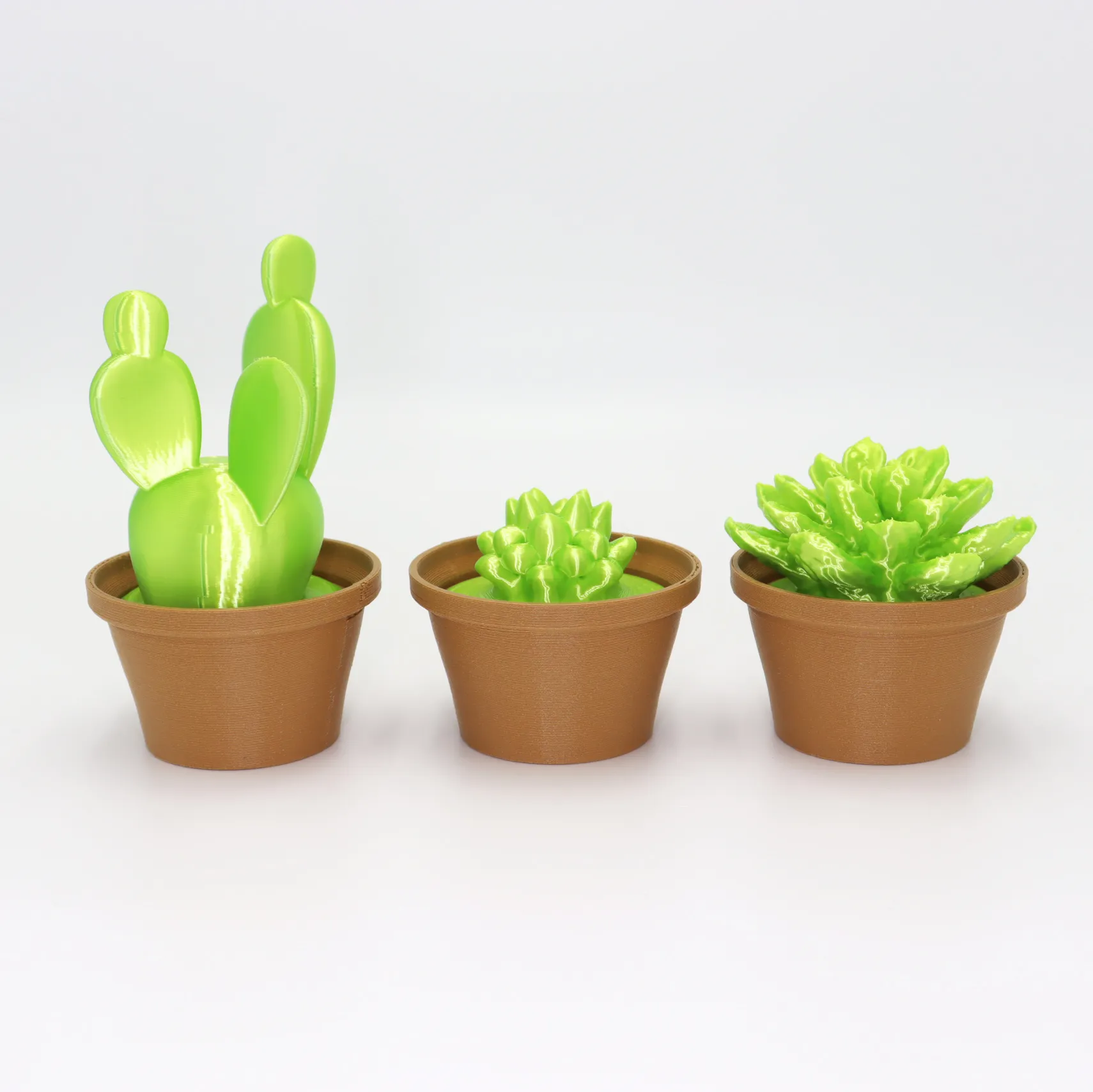 Cactus Pot Plants V2