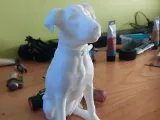 Chien-1