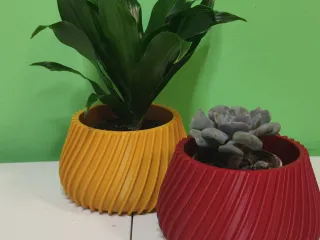 POT AGLAONEMA