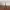 Eiffel Tower, photorealistic model