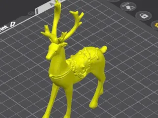 deer