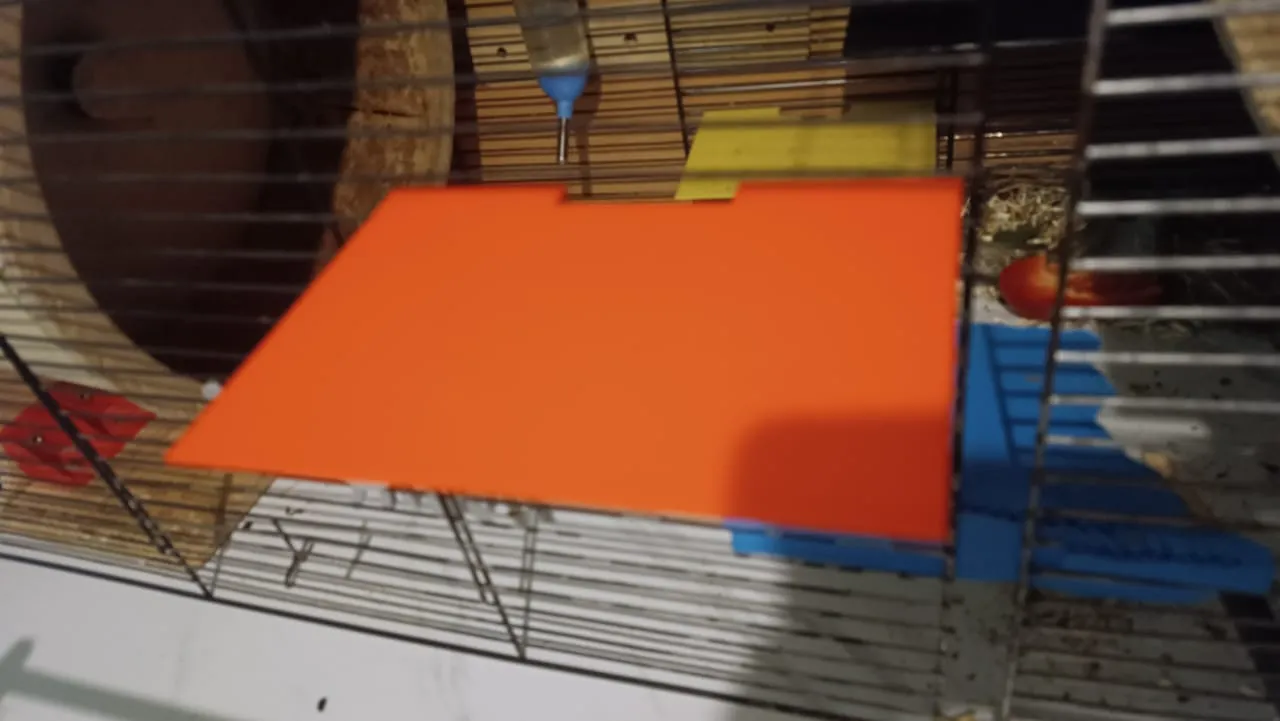 Shelf for rodent cages