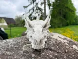 Dragon SKULL-4