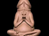 PENIS Frog-0
