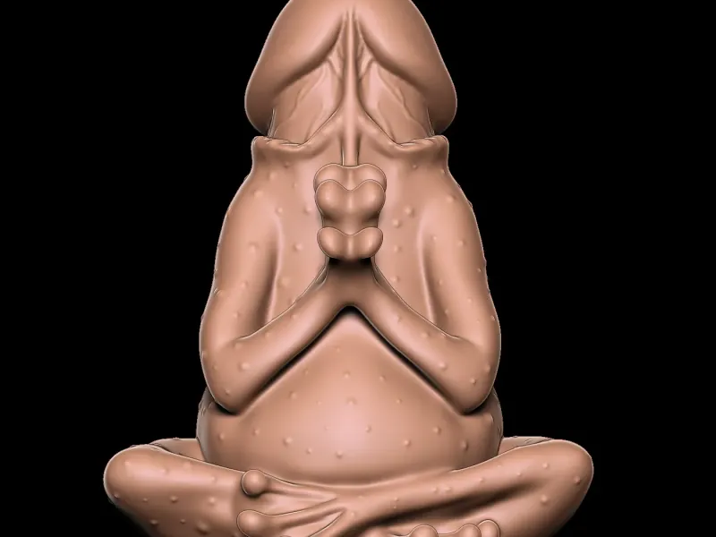 PENIS Frog