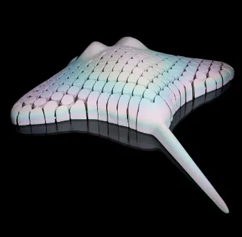 flexi Ray - the Manta Ray
