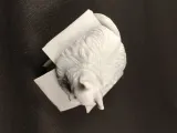 Fat cat in box-6