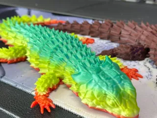 ARTICULATED ARMADILLO LIZARD (LITTLE DRAGON) - 鉸接犰狳蜥 (小龍)