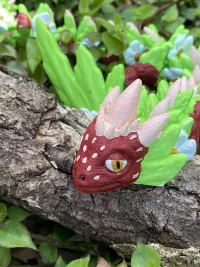 Strawberry Dragon-1