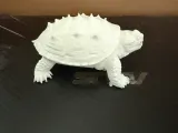 Snapping Turtle-1