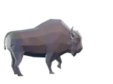 Low Poly Bison-8