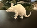 Armadillo-1
