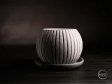 nimbus · planter-1