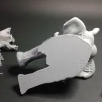 Elephant Desktop Frame-6