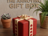 Annoying Gift Box-1