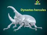 Dynastes hercules model - statue - 3D print-1