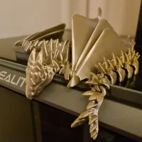 Silver Dragon-1